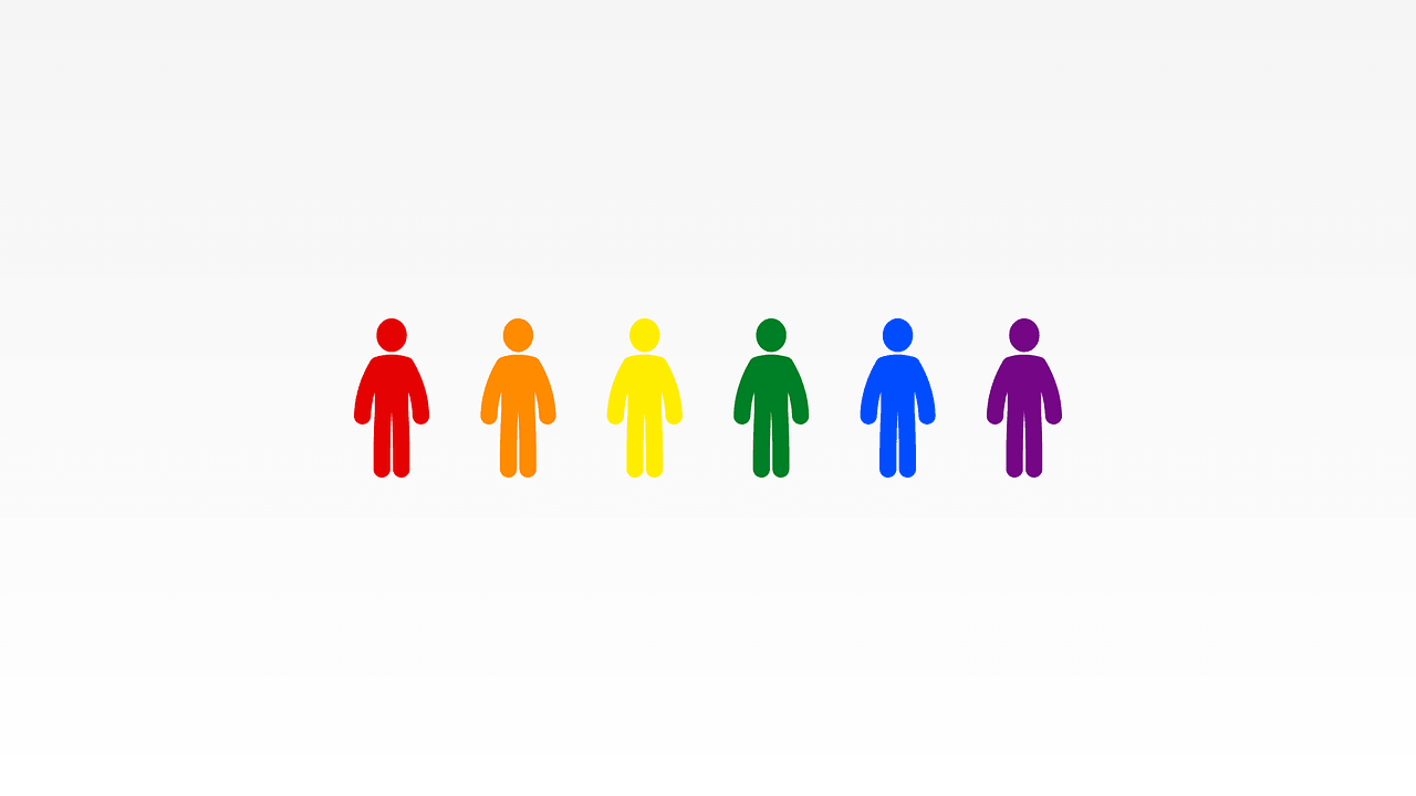 diversidad sexual género